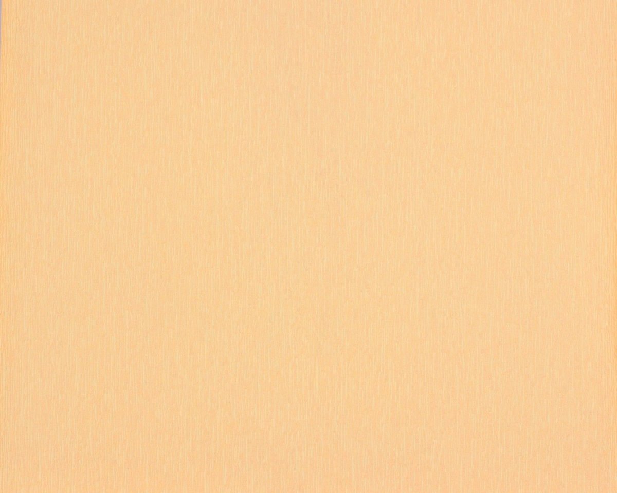 Светло бежевый фон однотонный