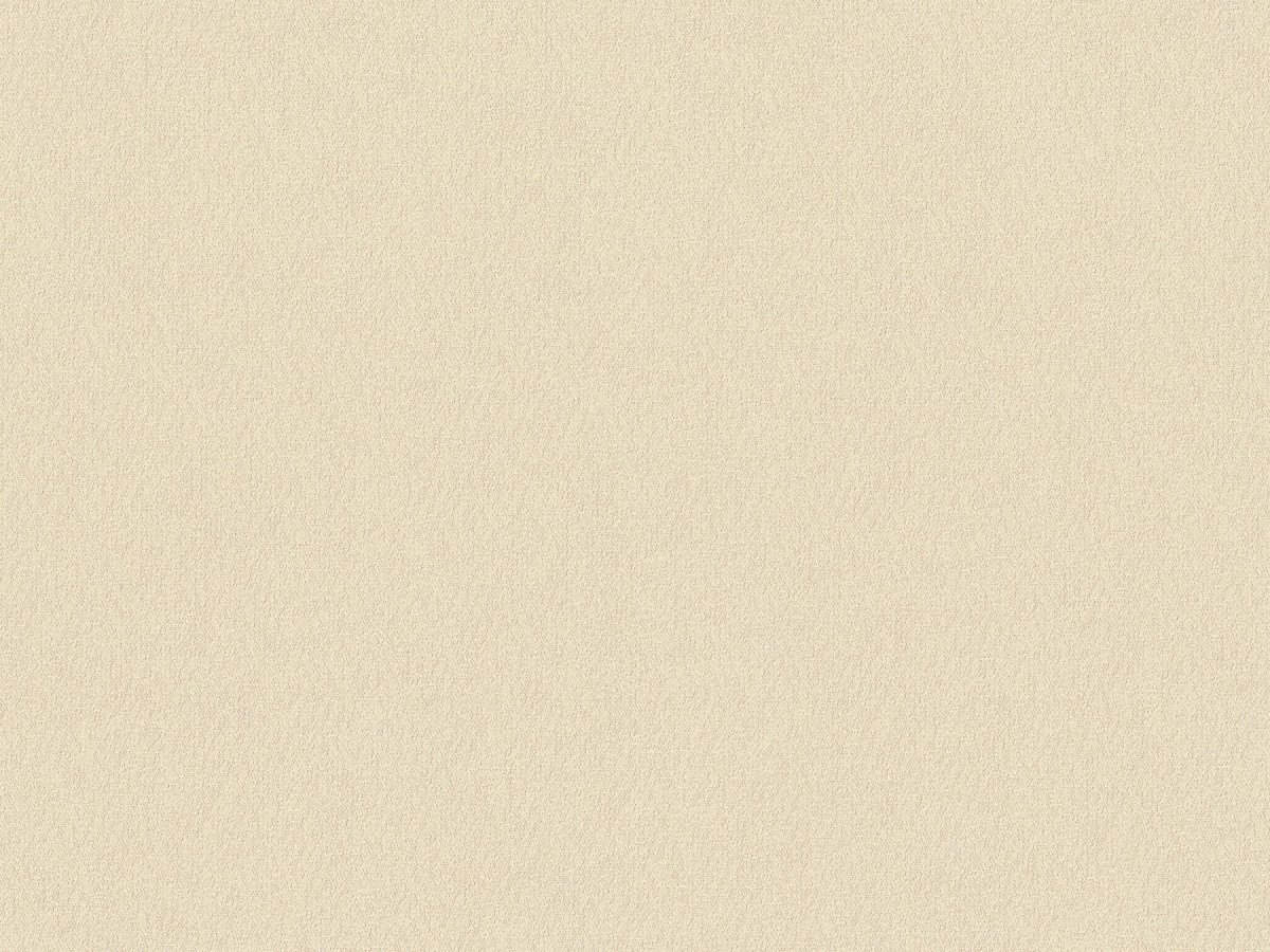 Светло бежевый фон однотонный