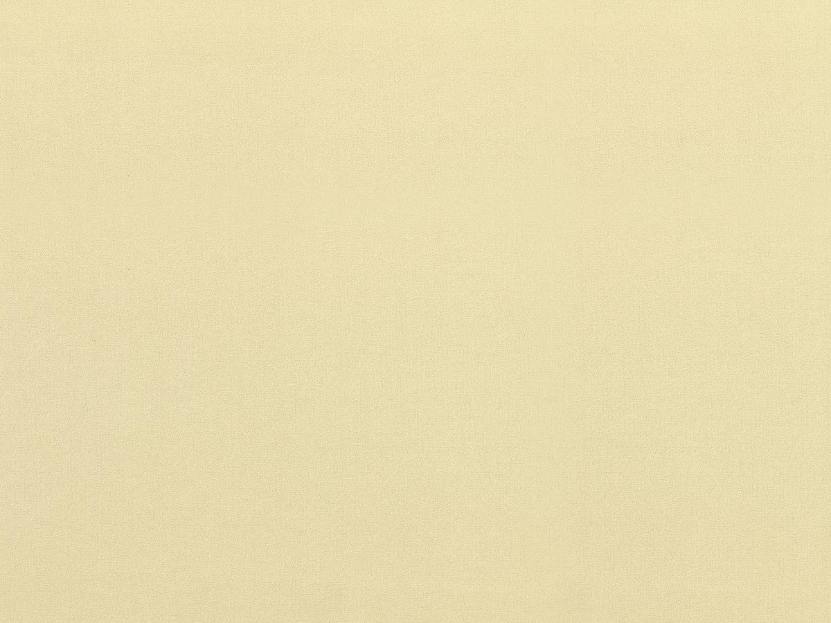 Светло бежевый фон однотонный