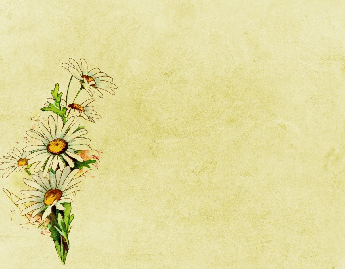 Классический фон для презентации