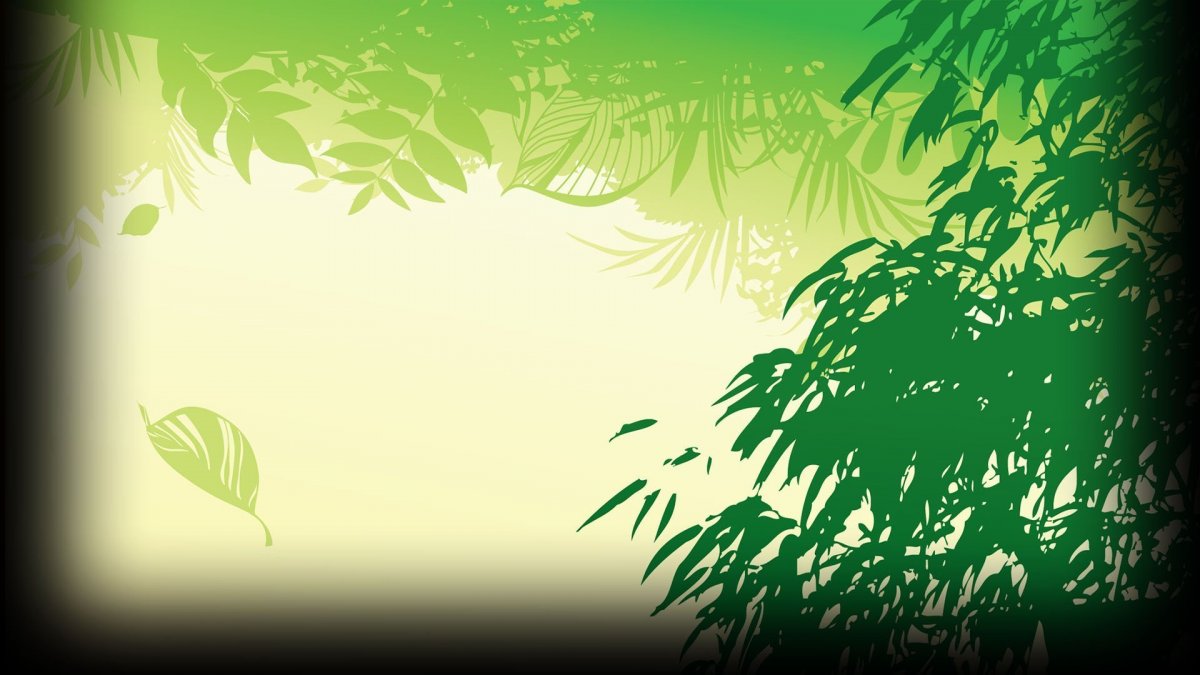 Красивый фон для текста