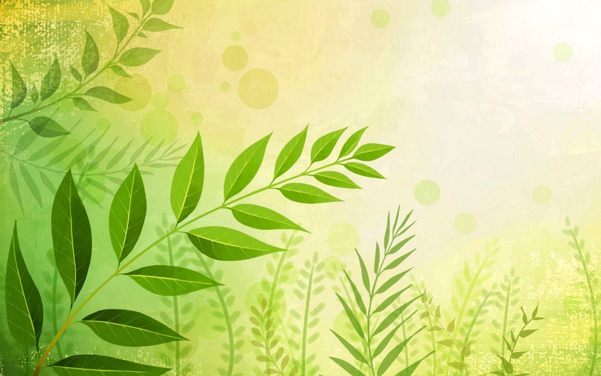 Красивый фон для презентации