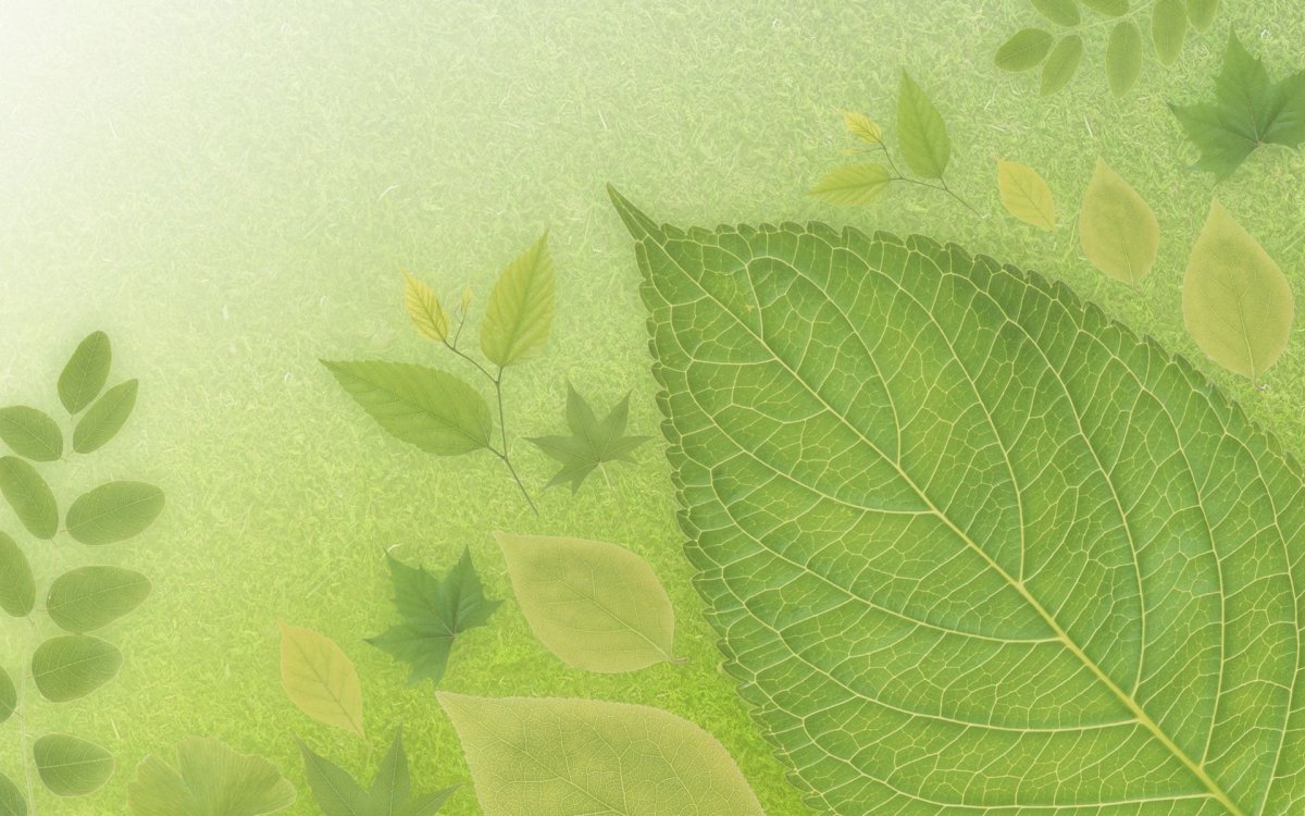 Приятный фон для презентации