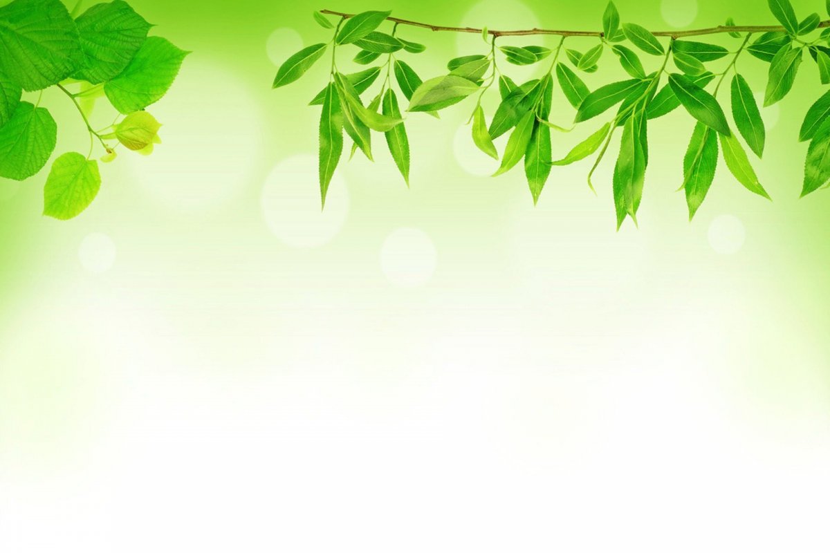 Желто-зеленый орнамент