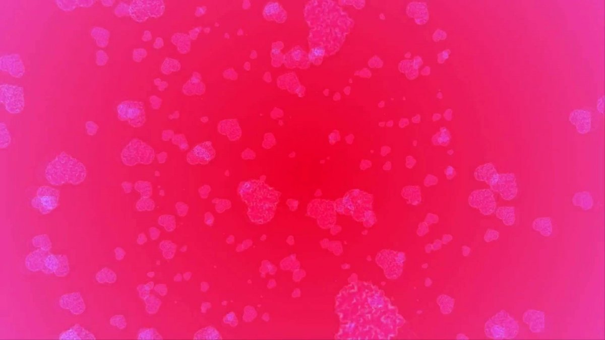 Розовый фон