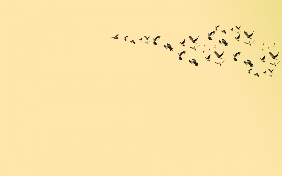 Птицы на розовом фоне