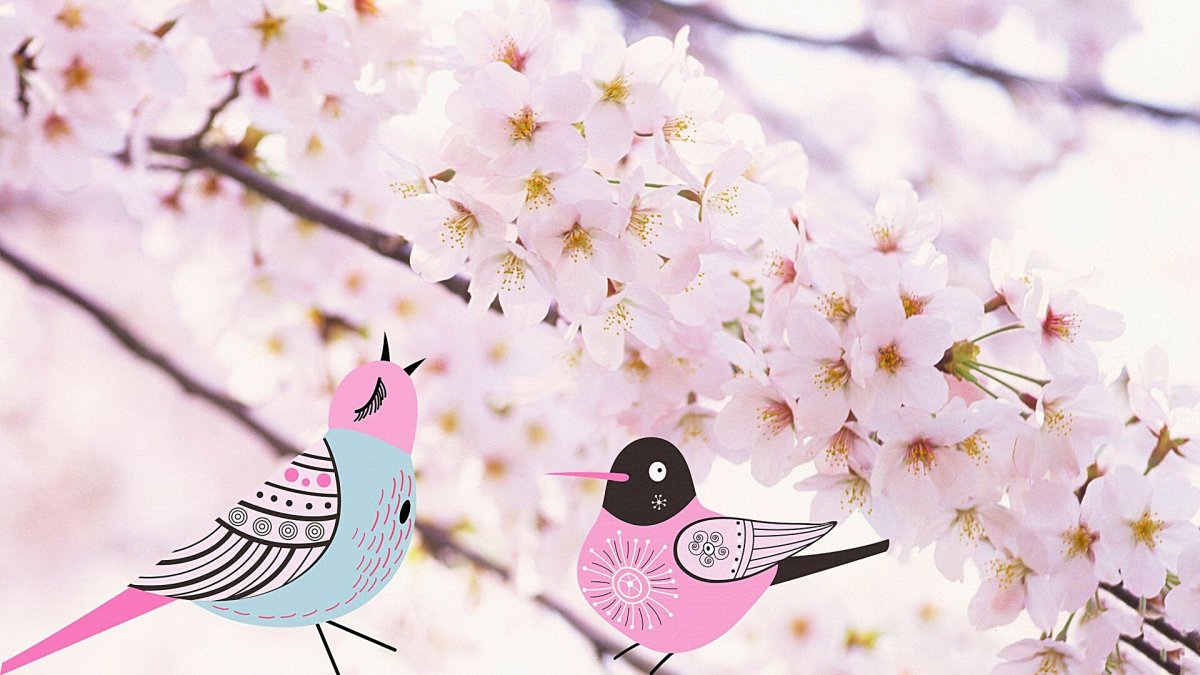 Фотообои с птицами