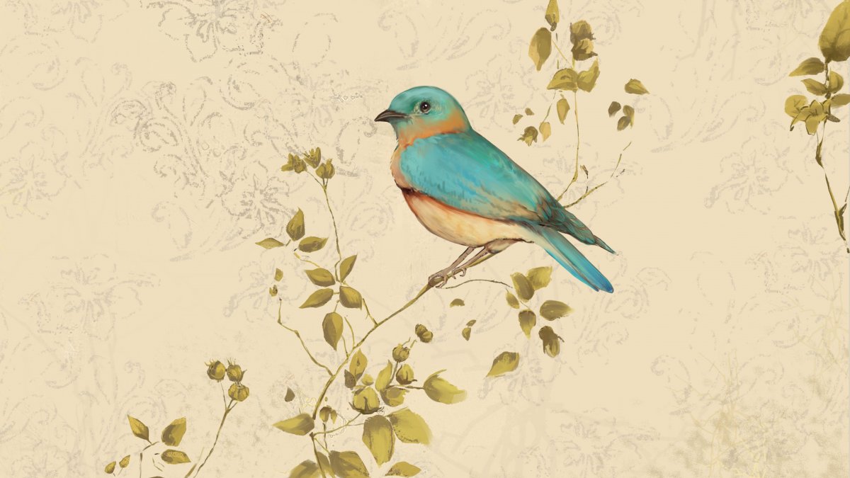 Силуэты птиц в небе