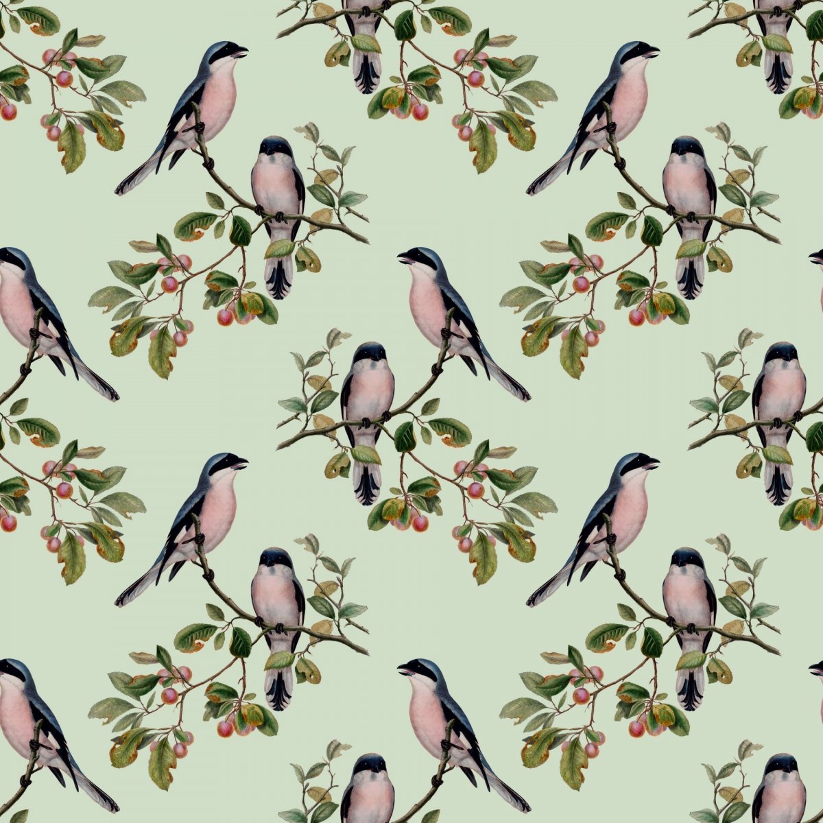 Скрапбукинг фон птицы две