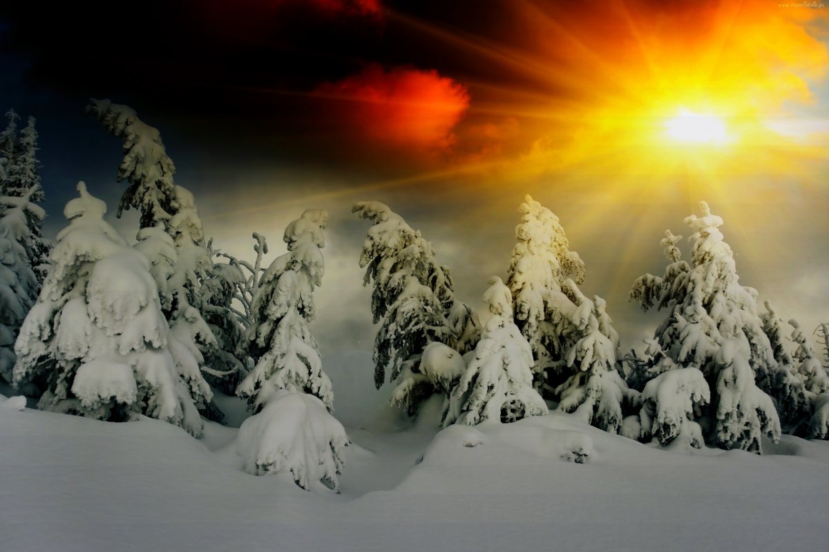 Зимняя природа на телефон