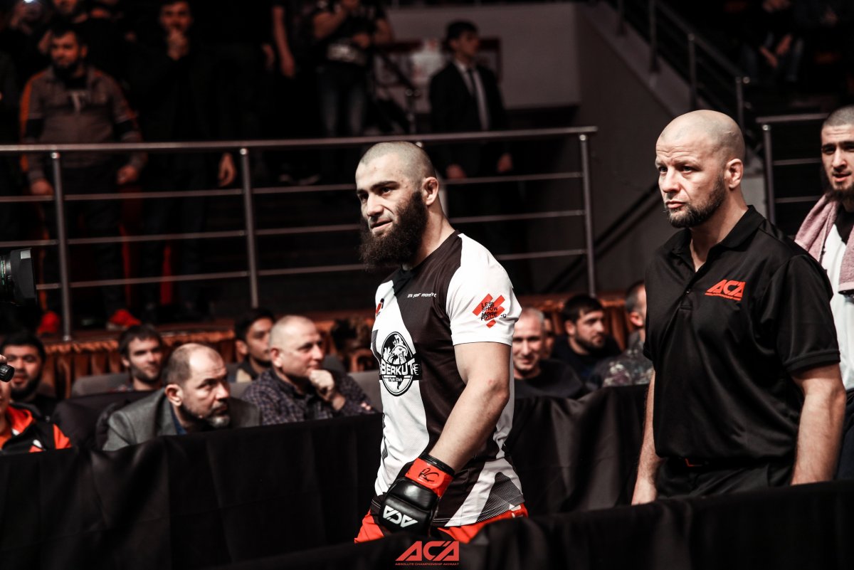 Обои байсангур арт