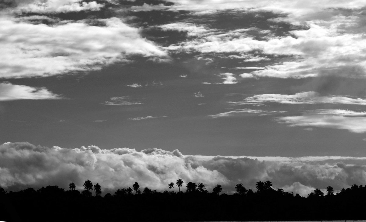 Чб картинки