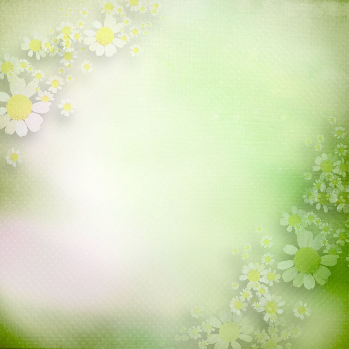 Светлый фон для презентации