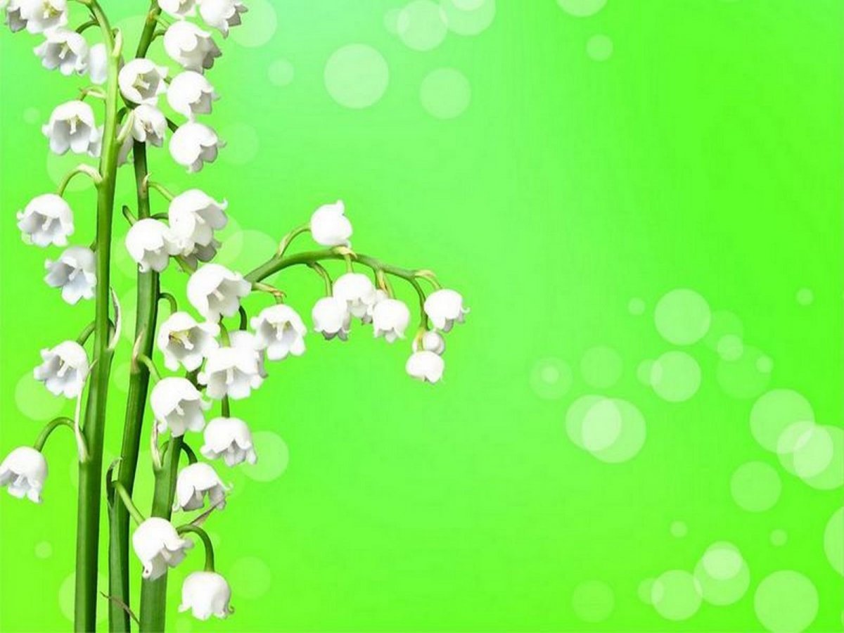 Весенний фон для презентации