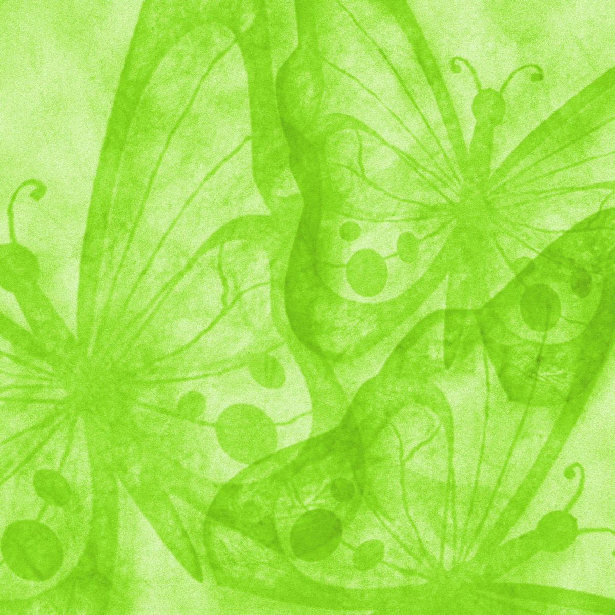 Розовый бутон