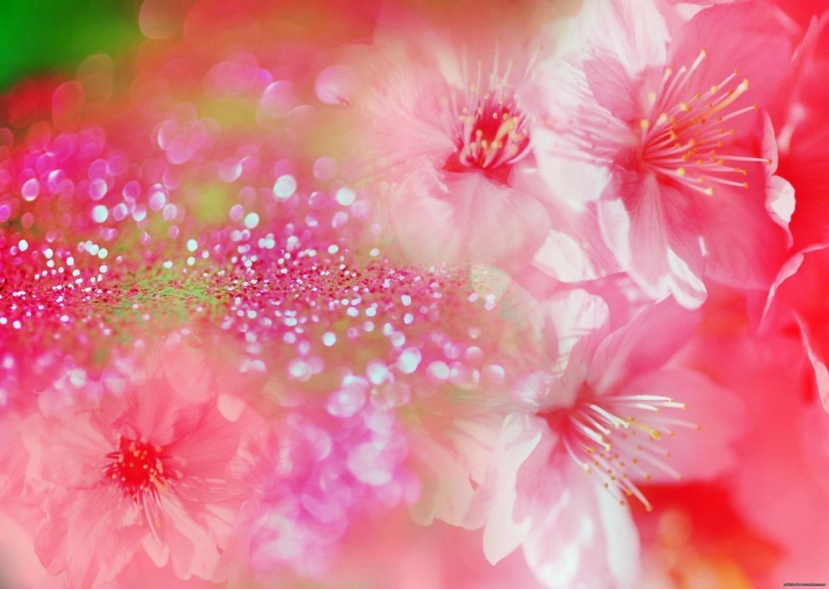 Фон красивый красочный нежный