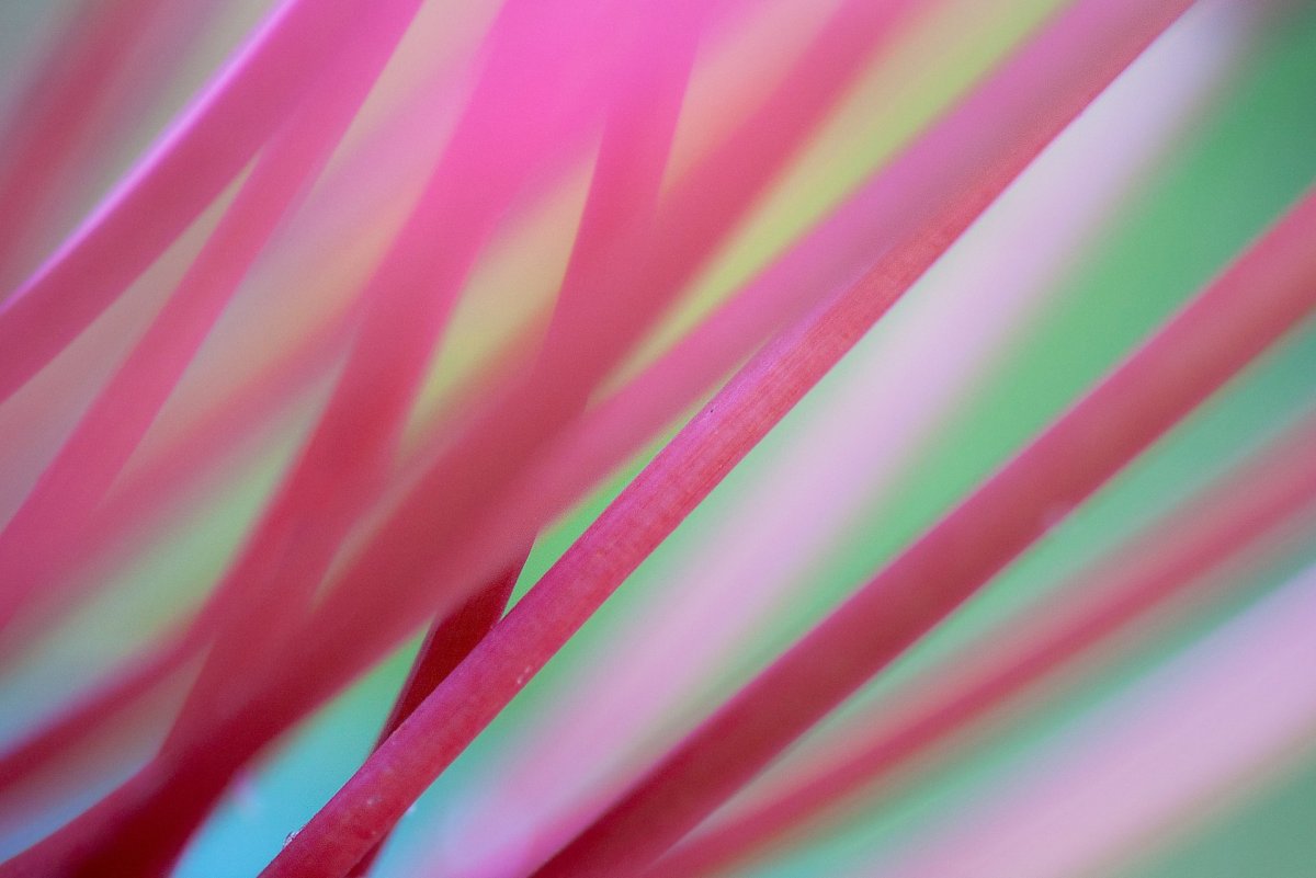 Пастельный фон