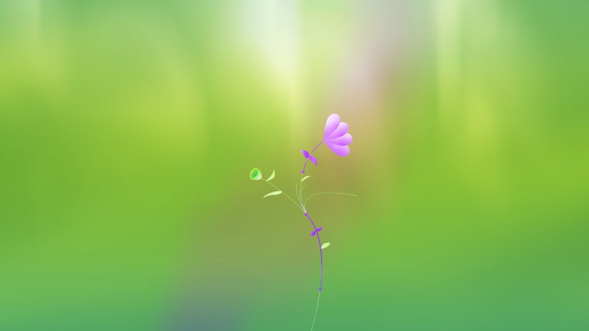 Розово зеленые цветы