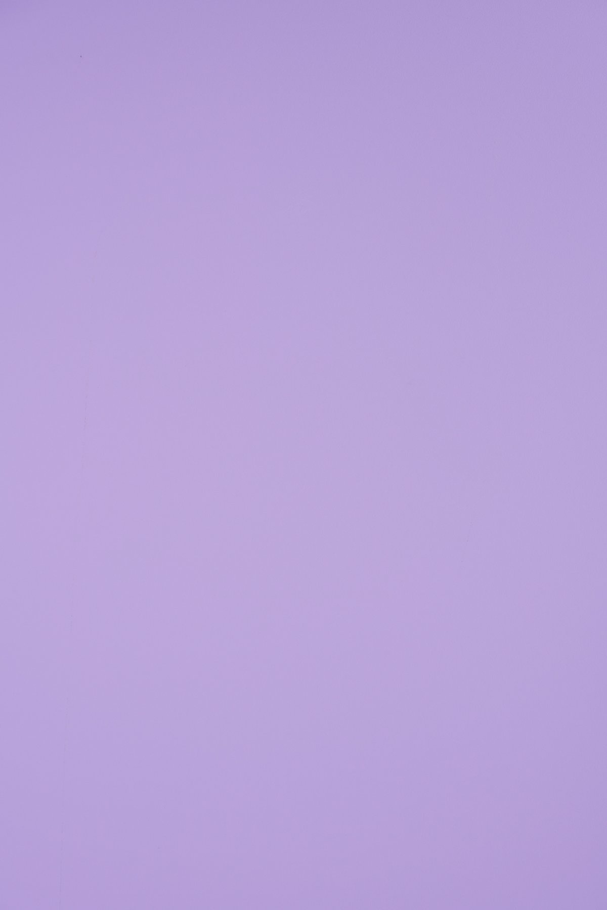 Нежный лиловый цвет