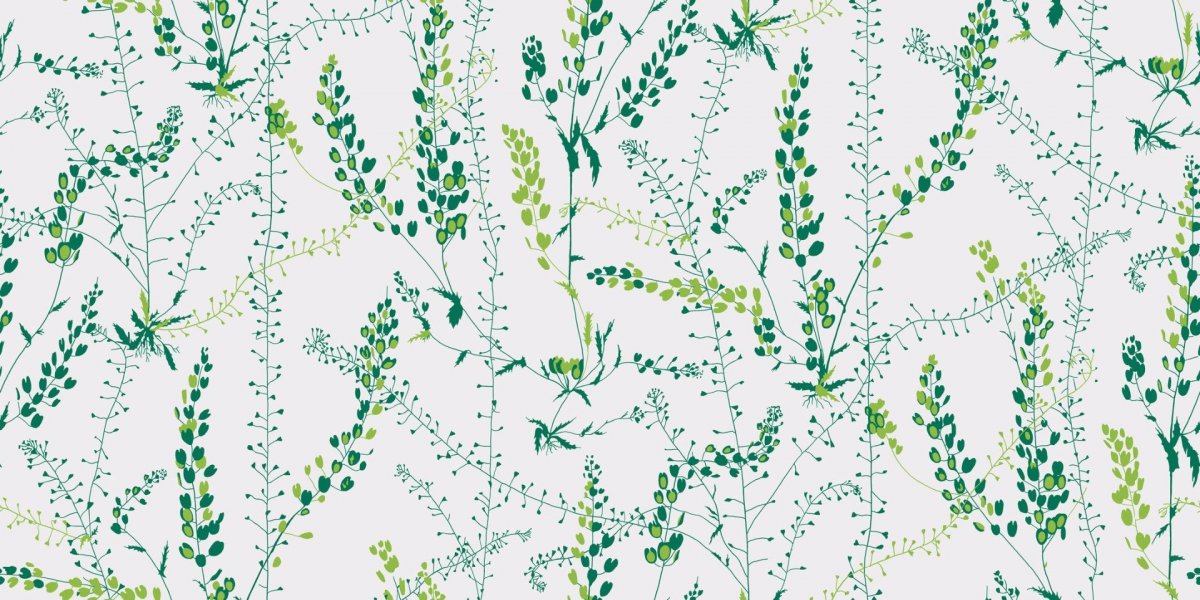 Эстетика природы