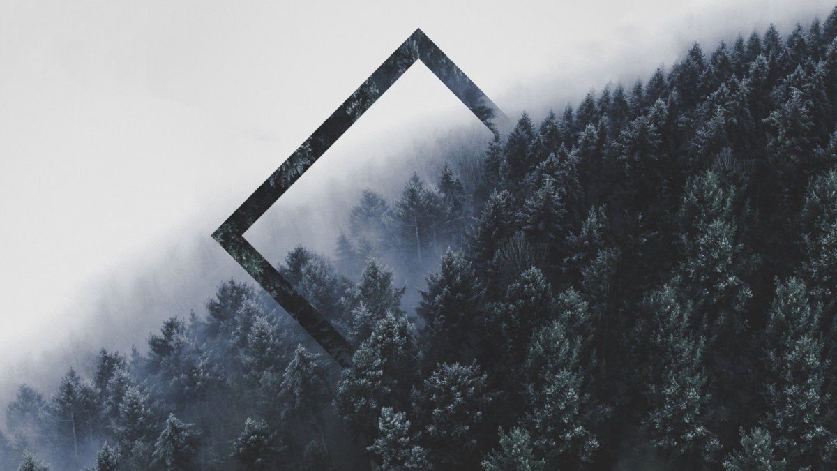 Треугольник на фоне леса