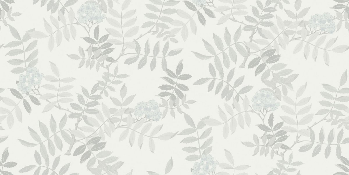 Норвегия Лофотенские острова приют