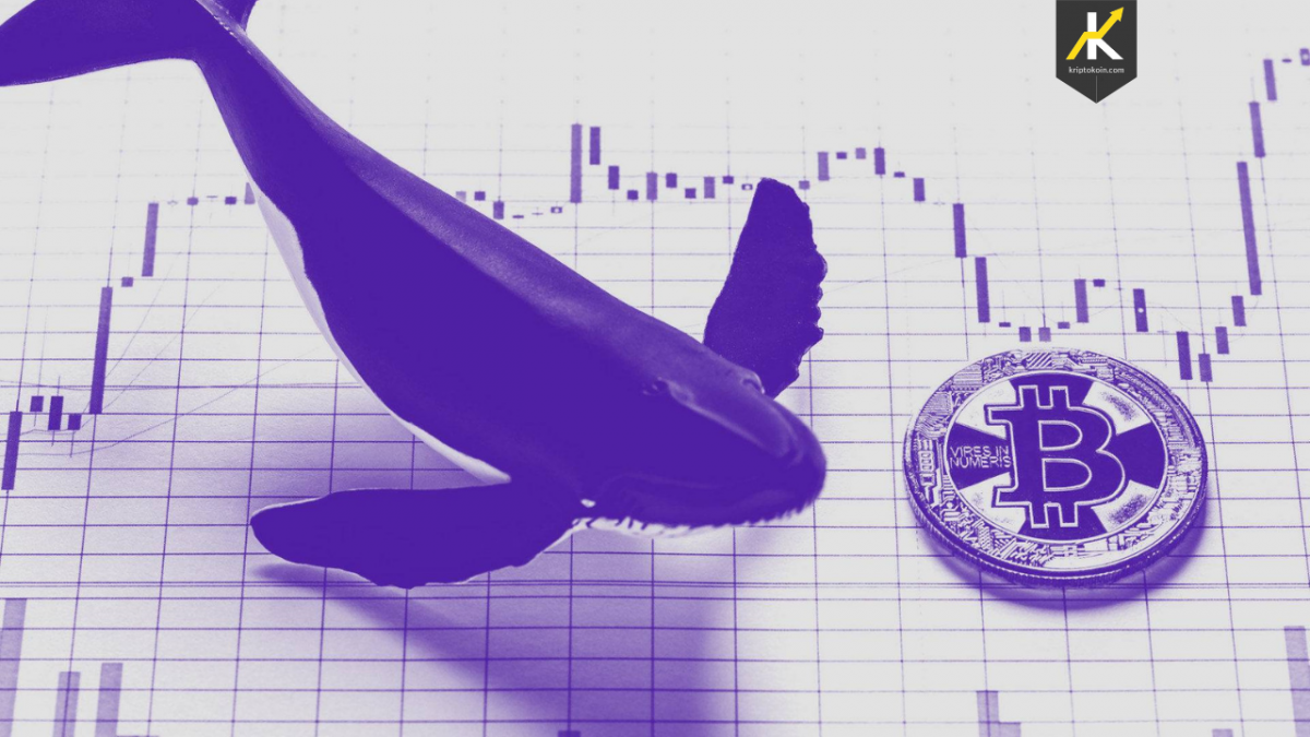 Биткоин обои