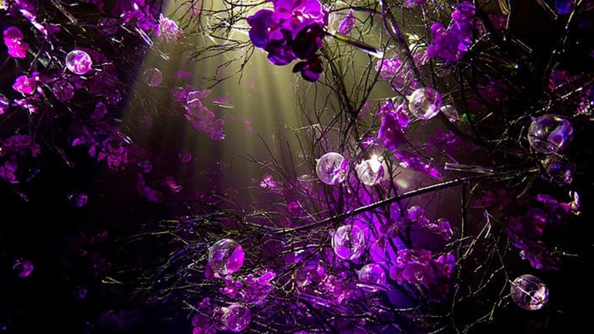 Фиолетовые обои на телефон