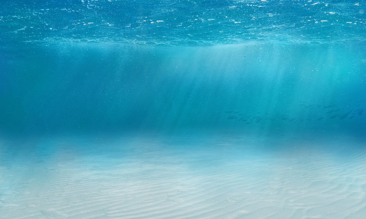 Фон для презентации море океан