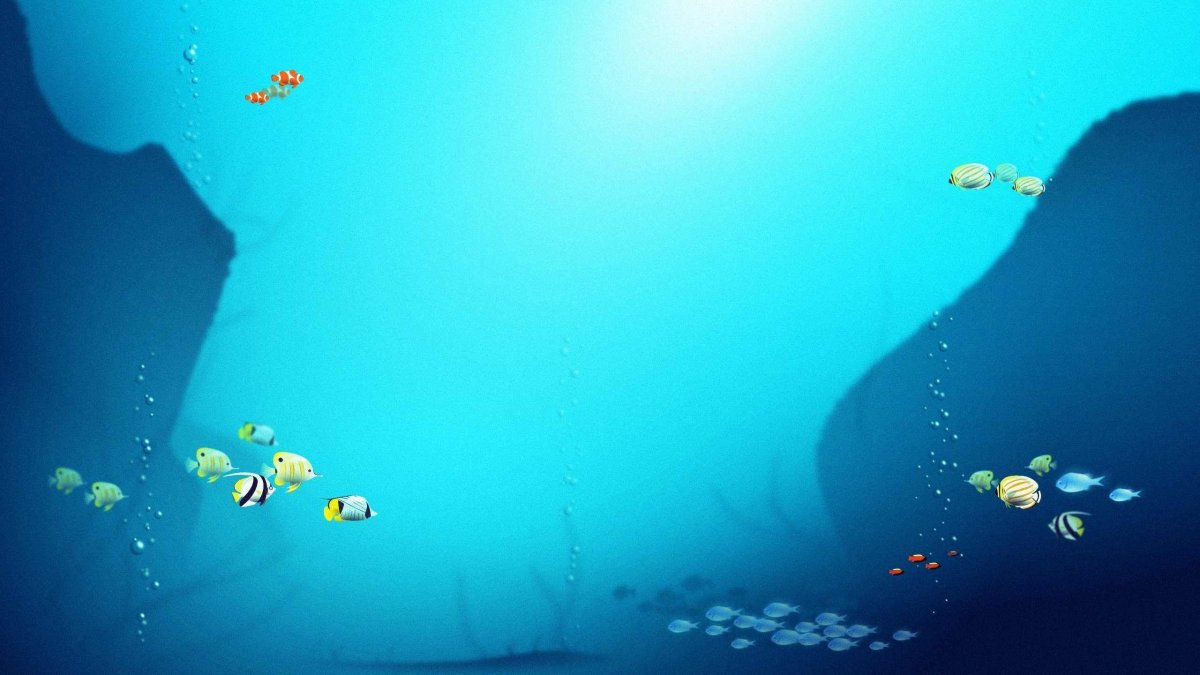 Фон для презентации рыбы