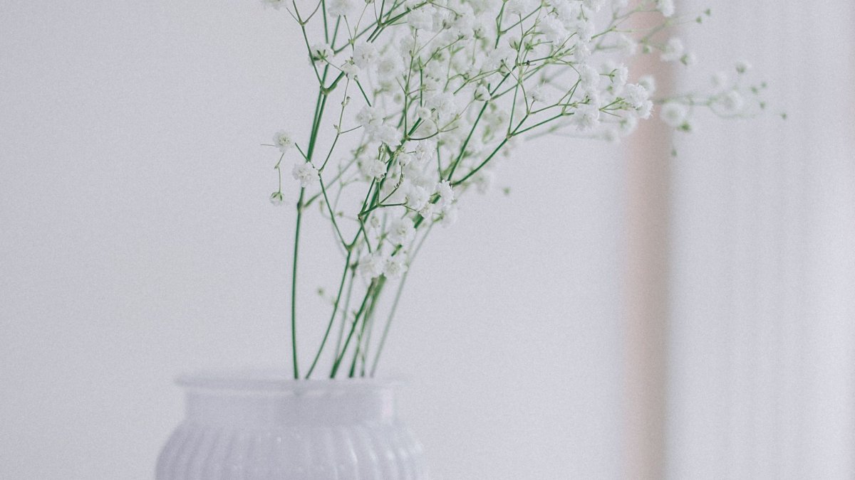 Обои со смыслом