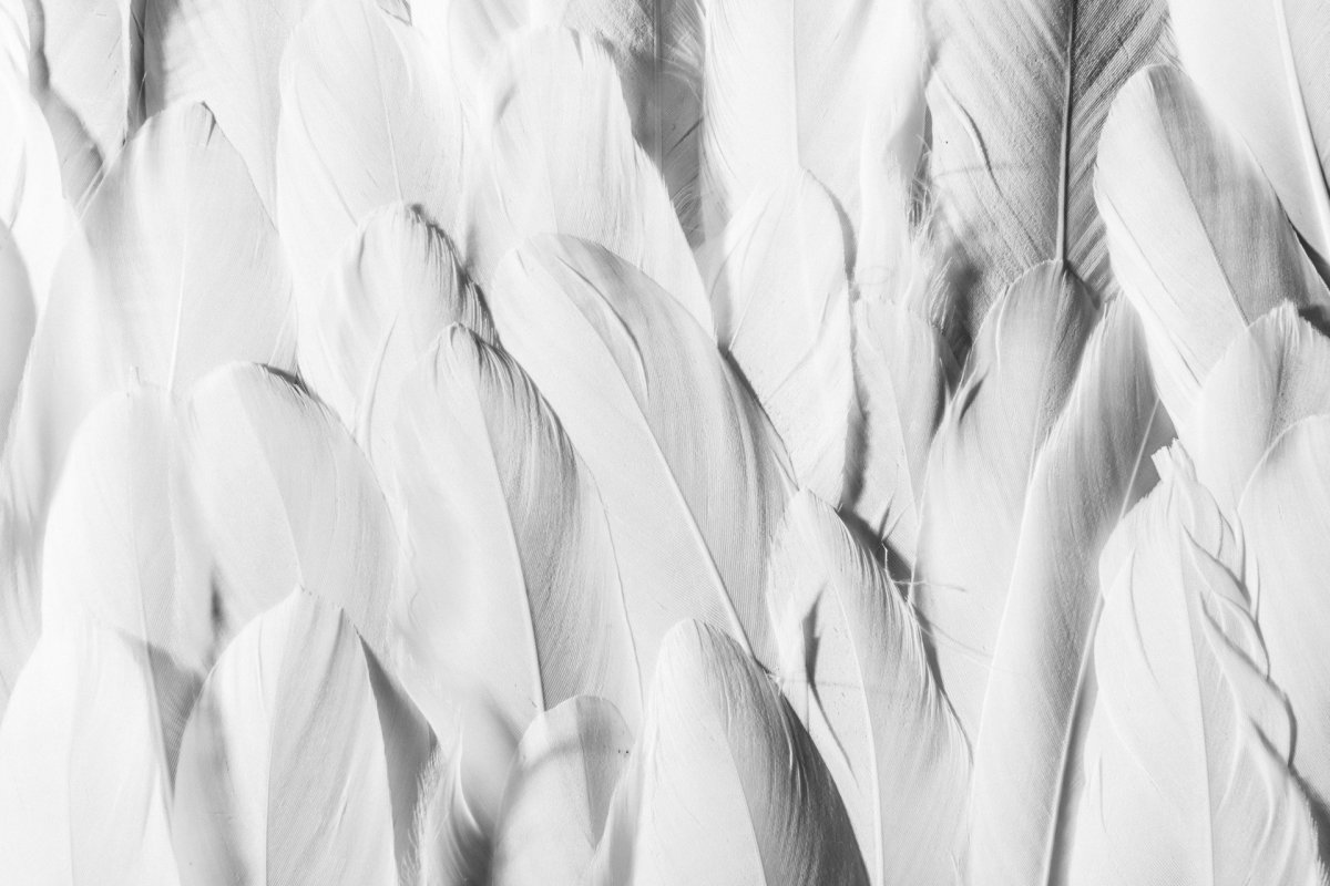 Обои на телефон Эстетика Минимализм