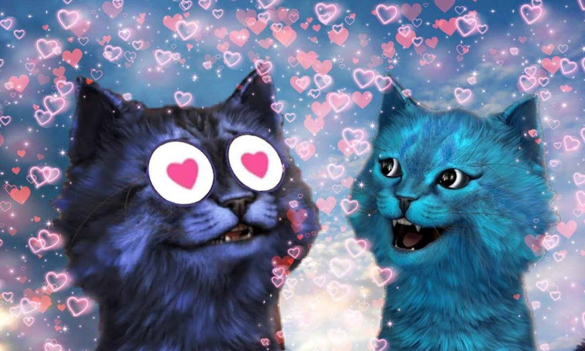 Милые парные авы котики