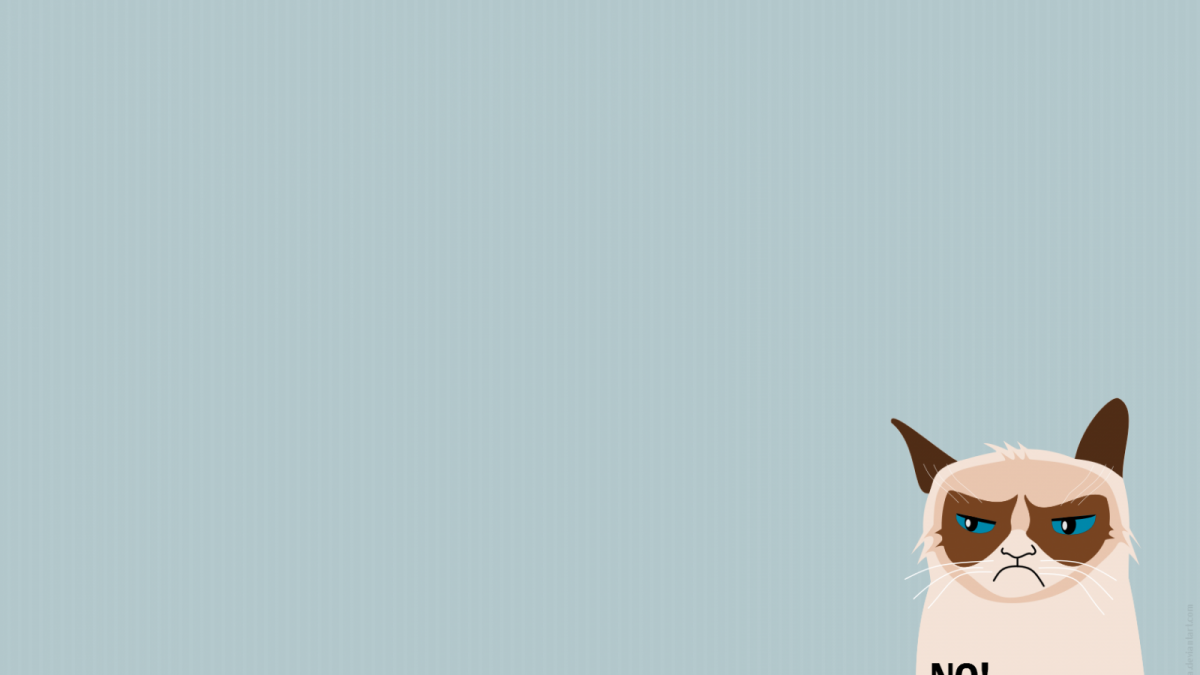 Котики спят вместе