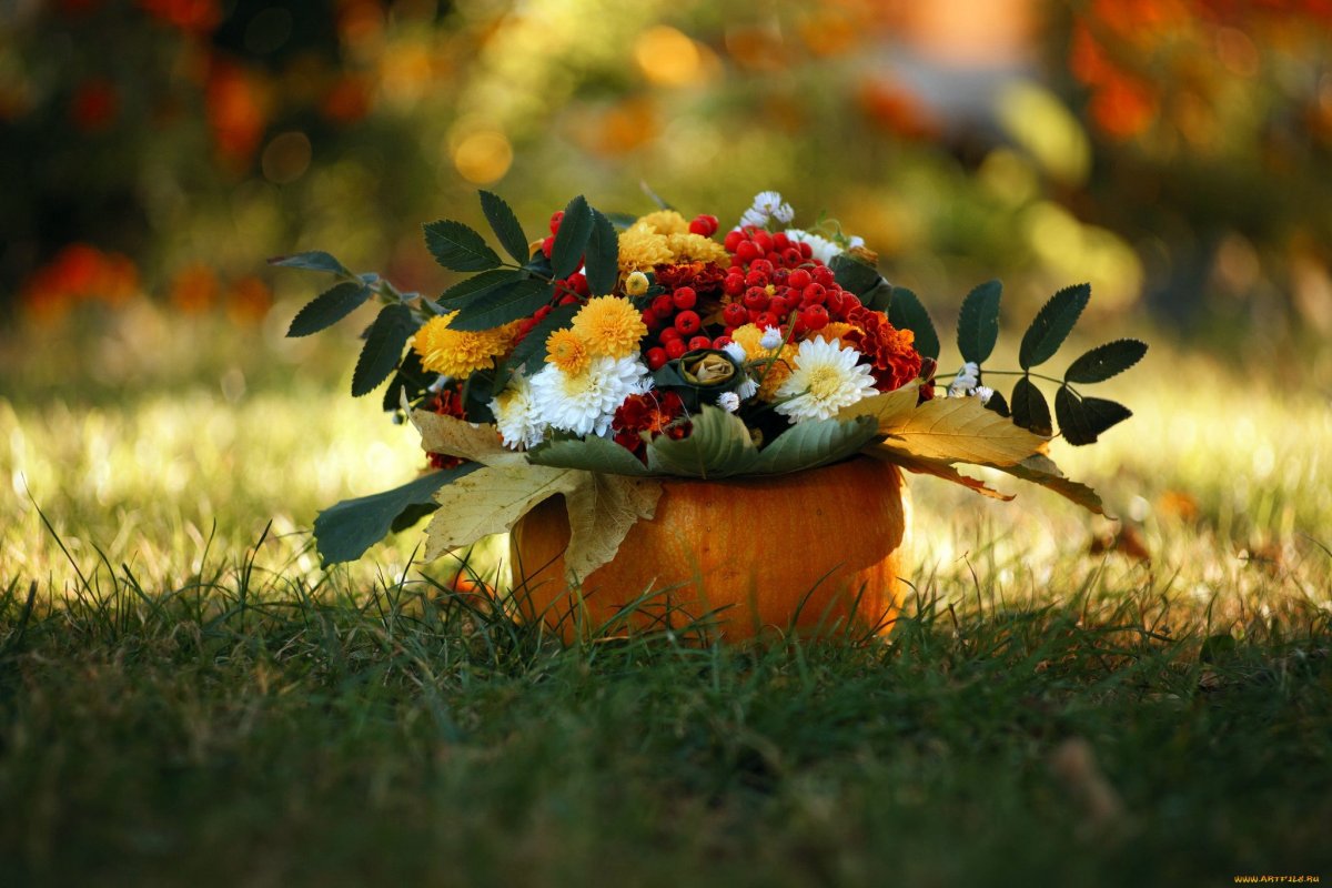 Цветы осенью