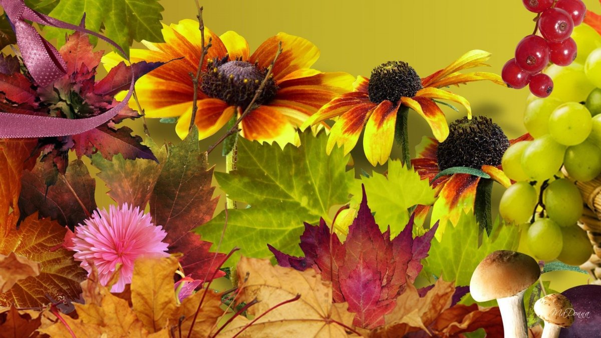 Обои на рабочий стол сентябрь природа