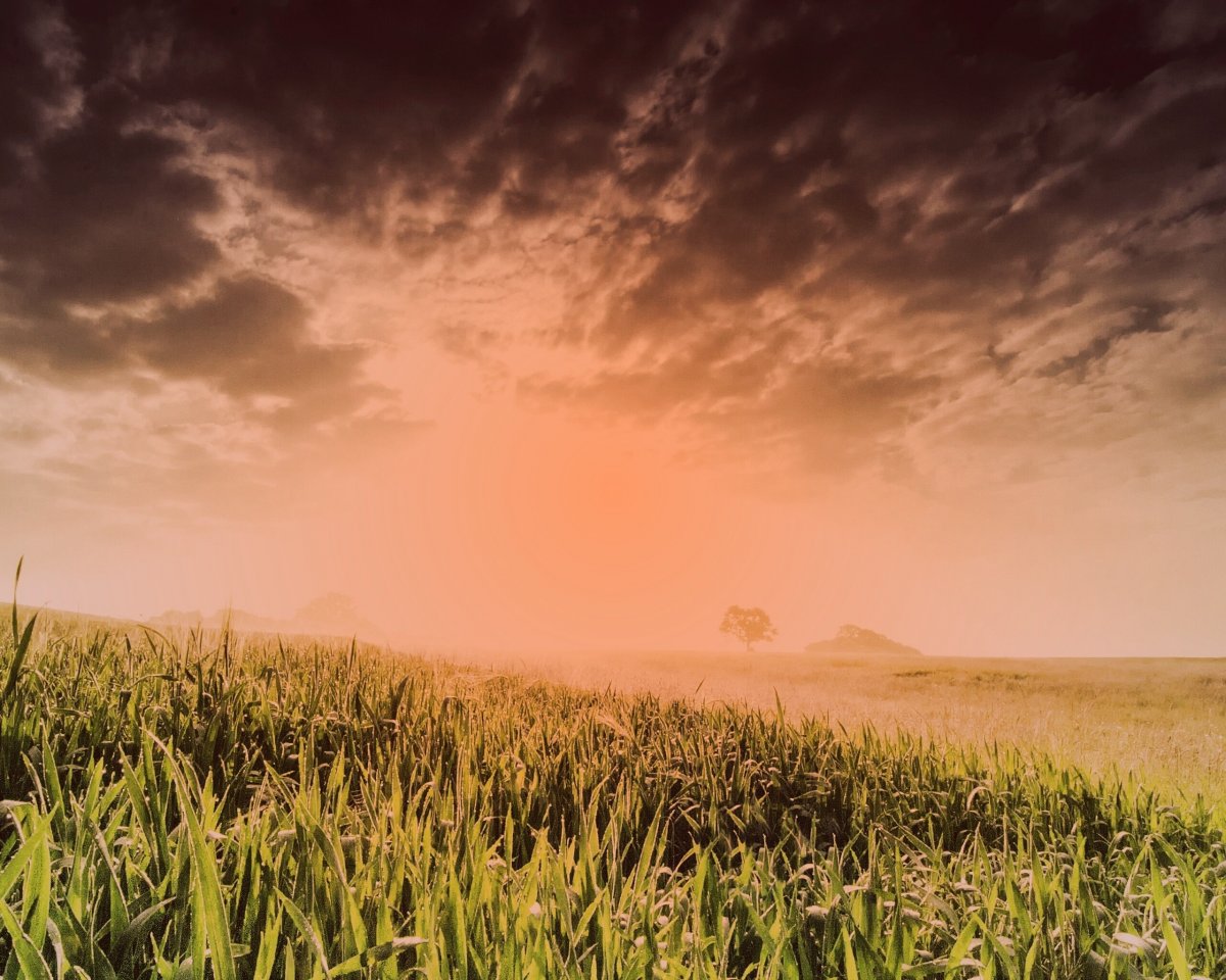 Фон безмятежность