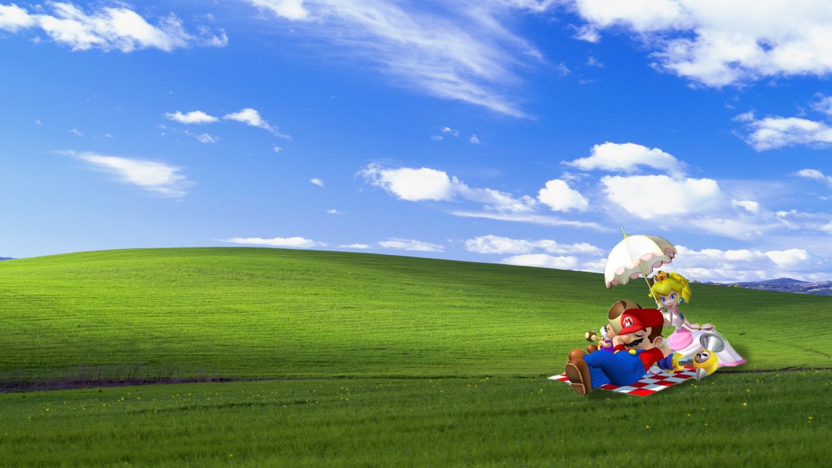 Море горизонты птицы