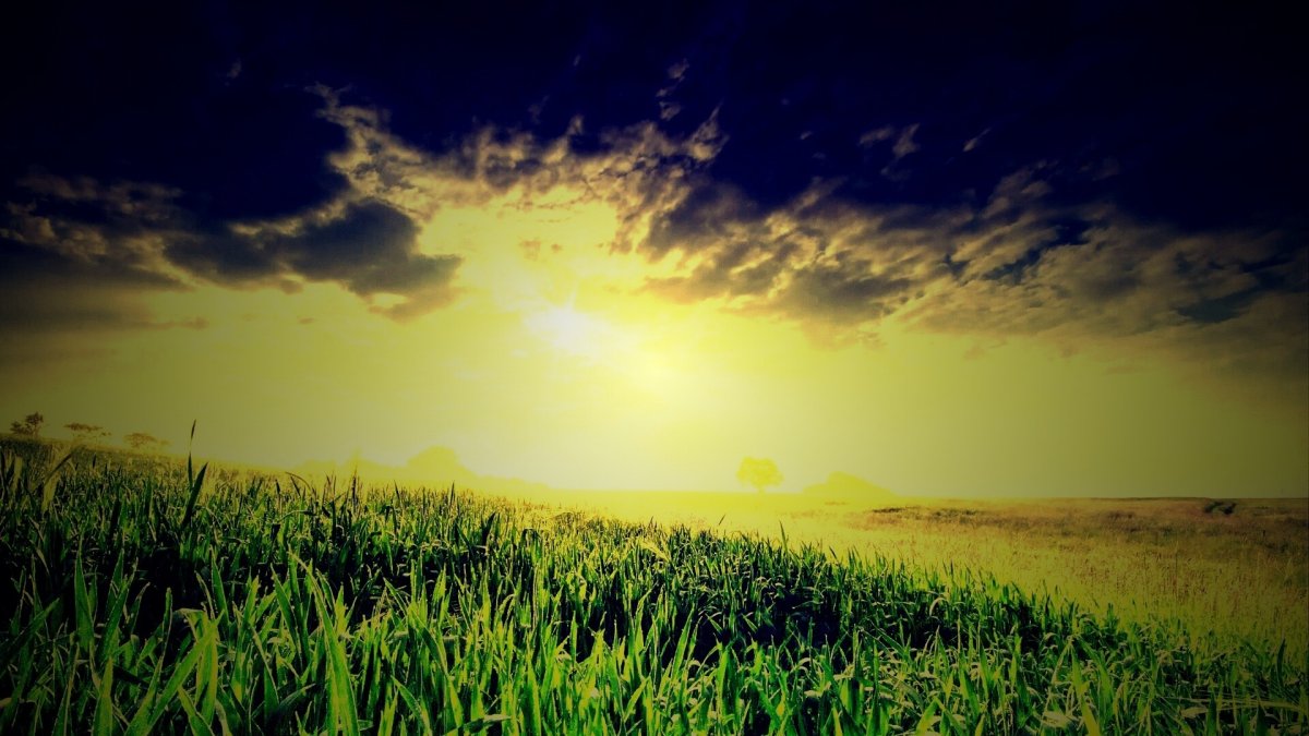 Спокойствие щит