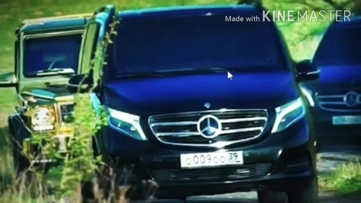 Паша Пэл 2020