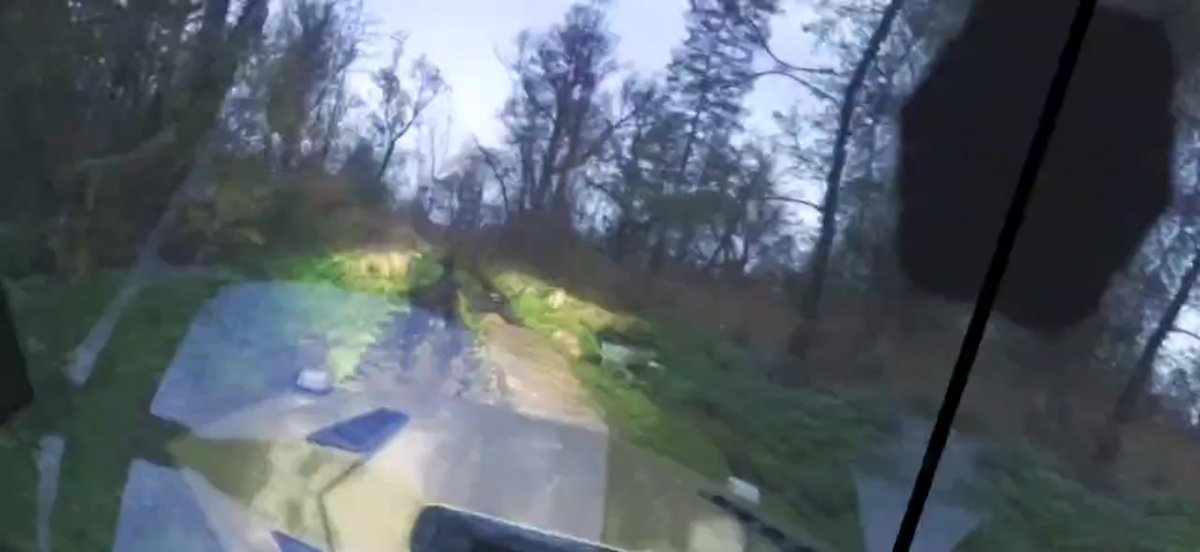 Туманность Ориона