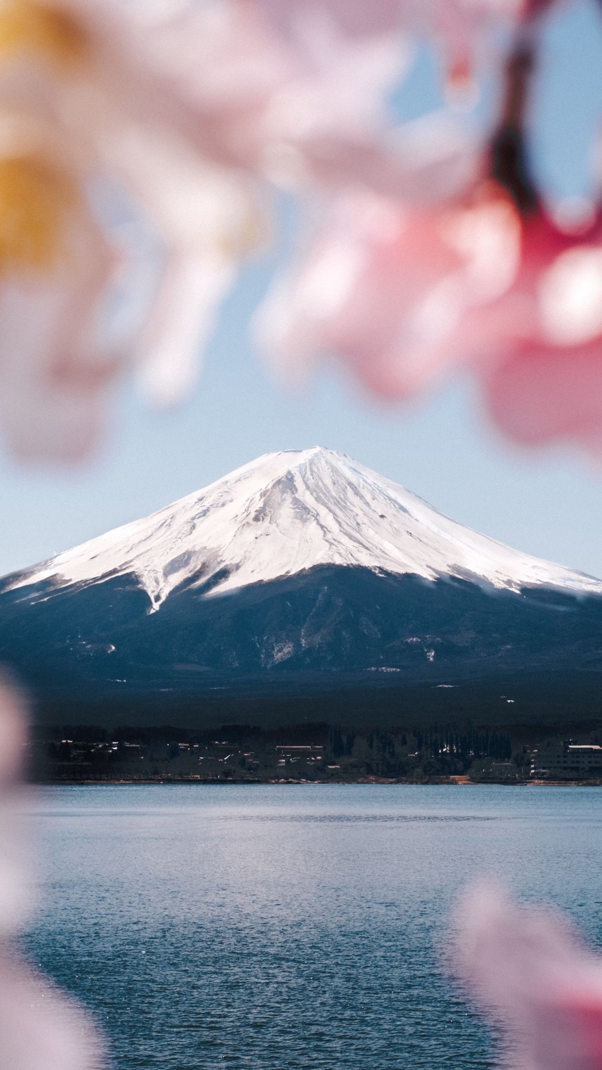 Вид на Фудзияму