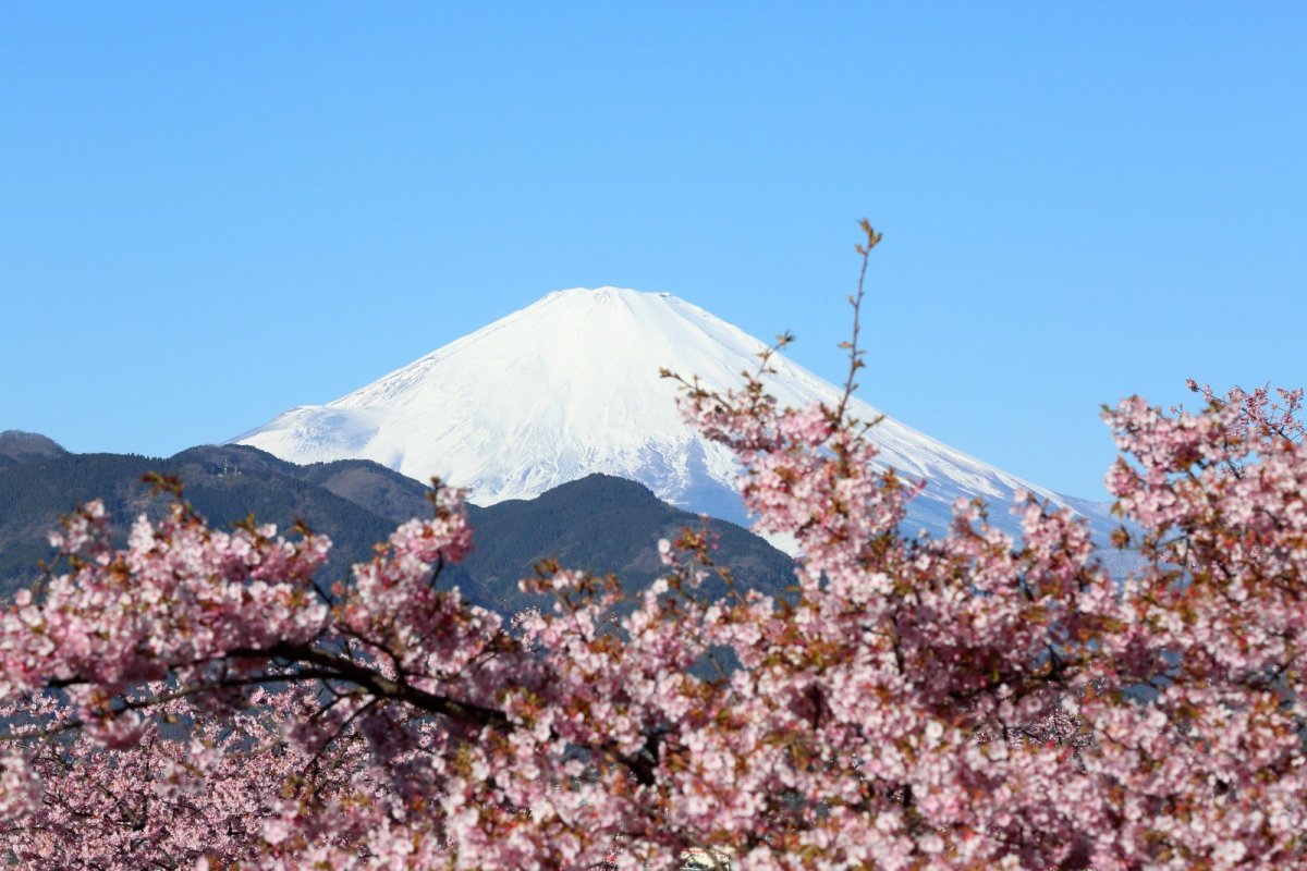 Гора Фудзи (остров Хонсю) вертикально