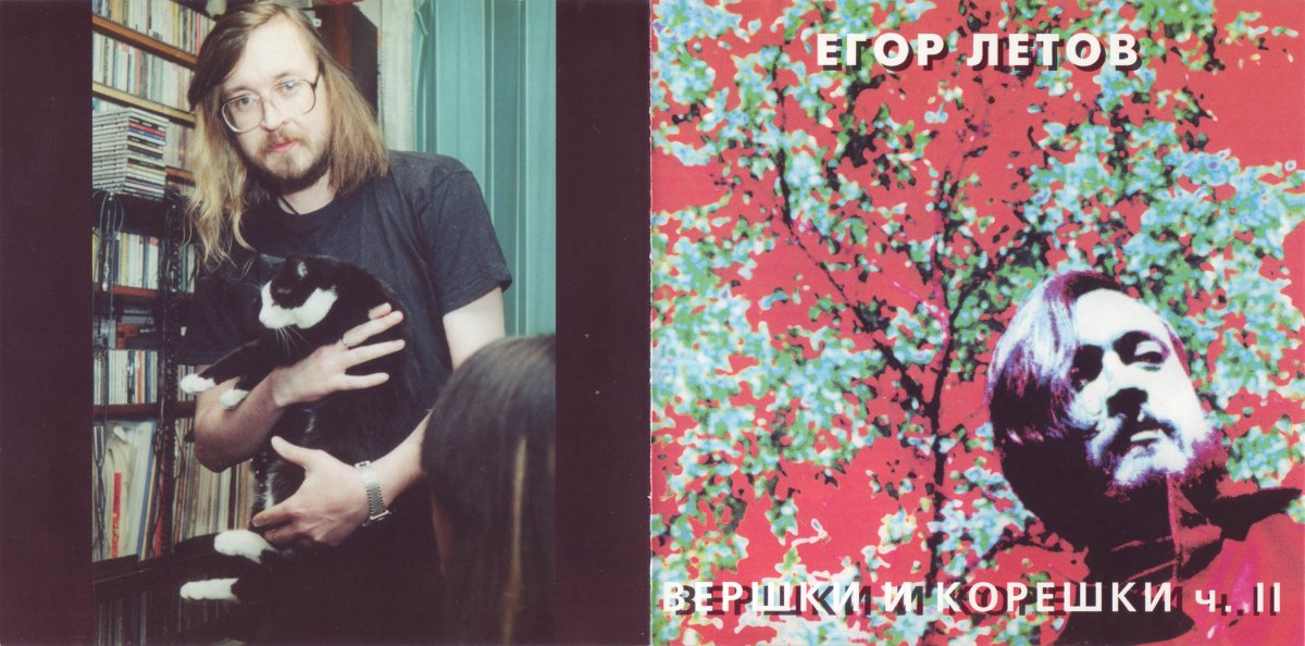 Граффити стена Егора Летова Омск