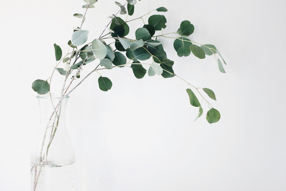 Лето солнце зелень