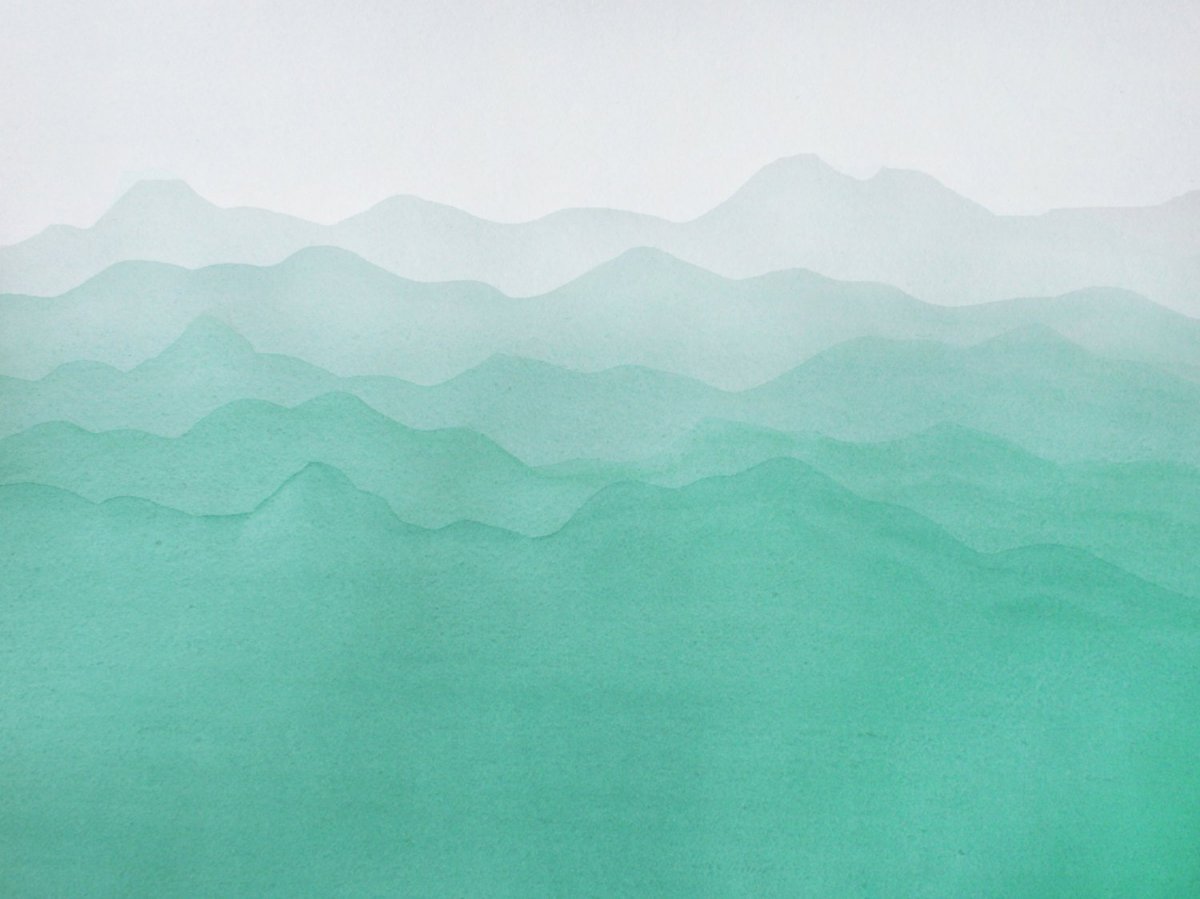 Монстера Индонезиан