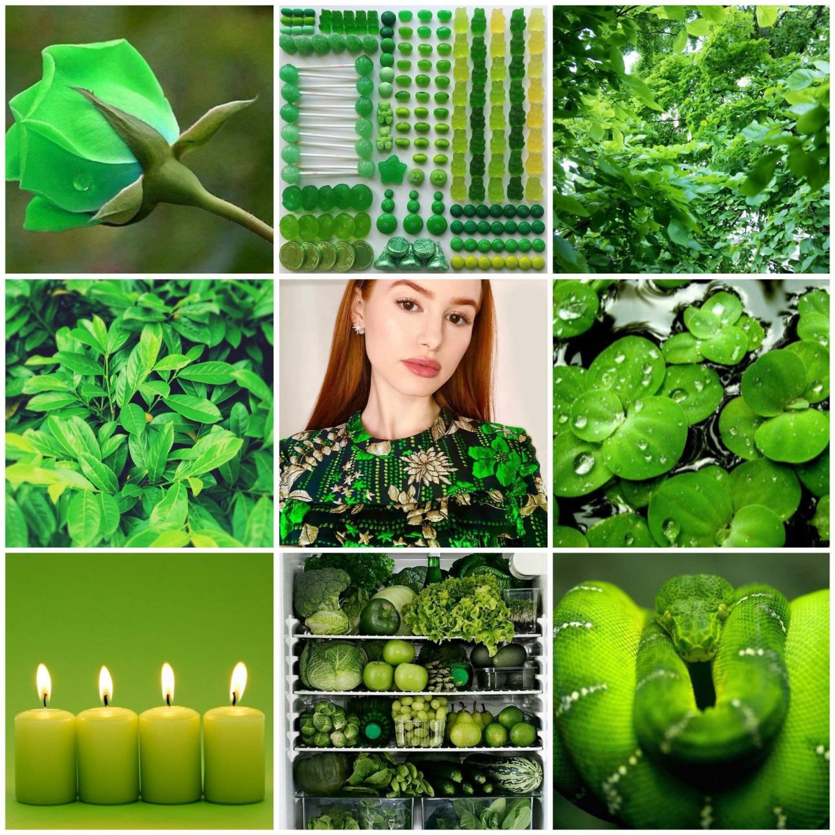 Зеленый цвет коллаж