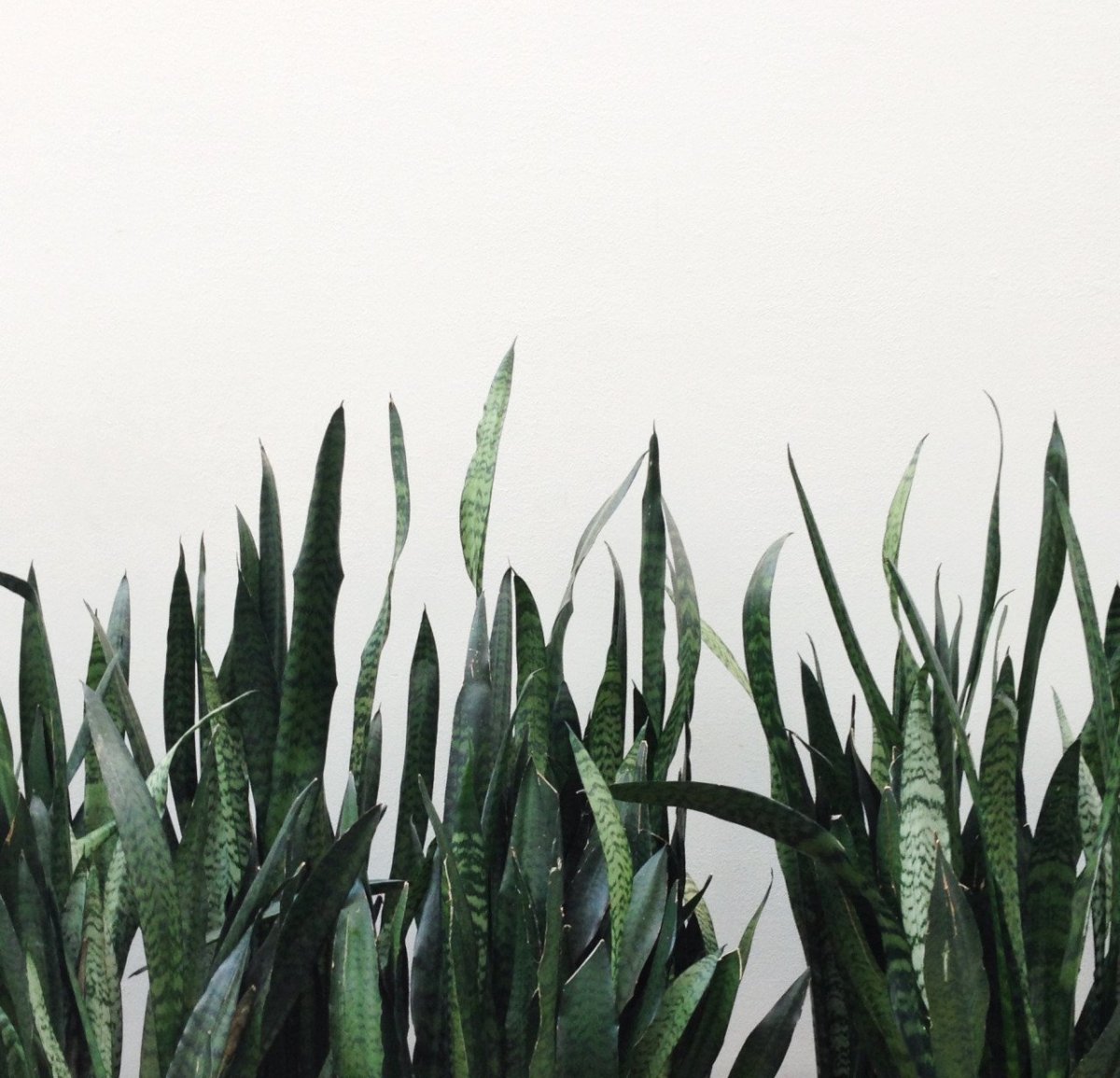 Рабочий стол Эстетика