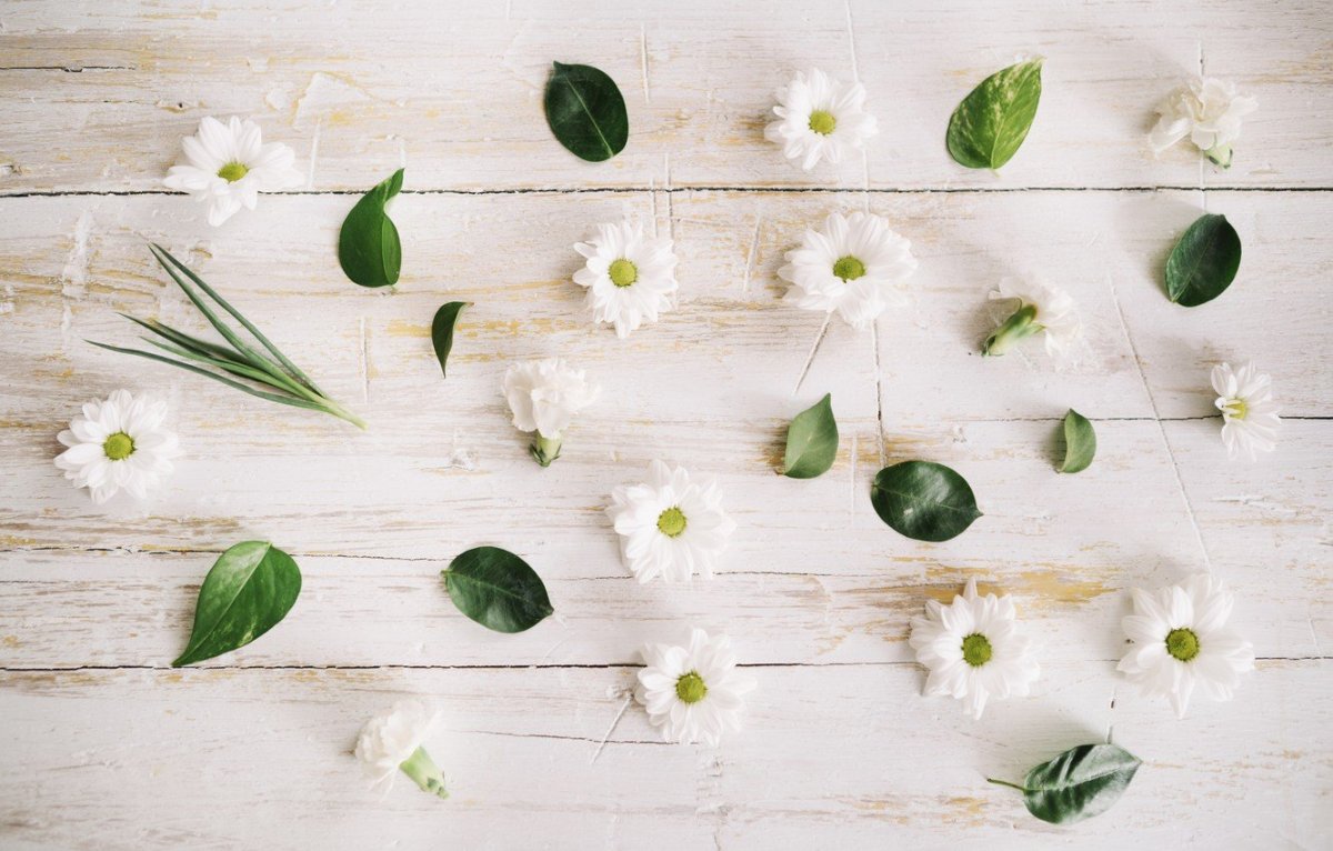 Темно зеленые листья