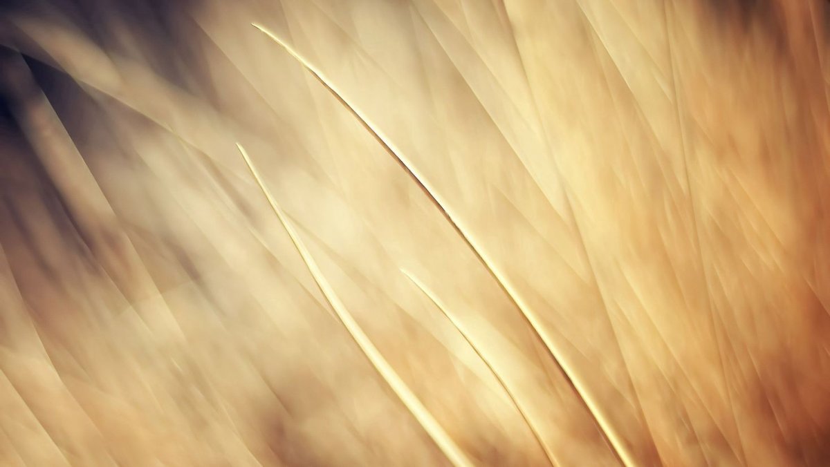 Светлые обои на телефон